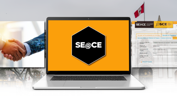 Seace.30 SEACE