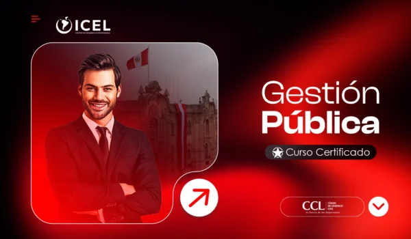 Gestión Pública